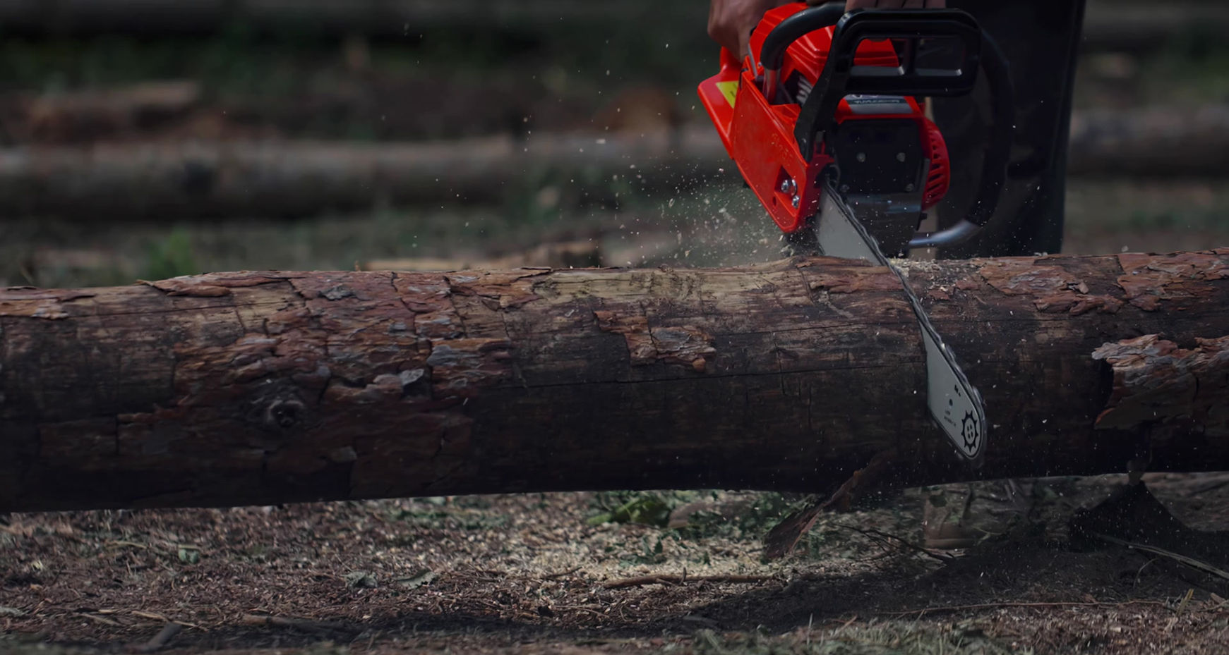 Log sectioning of a fallen trunk during tree surgery.